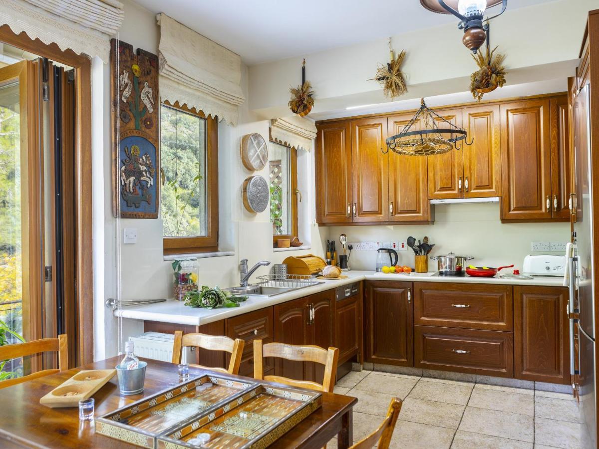 Troodos Riverside Cottage Kato Amiandos Екстер'єр фото